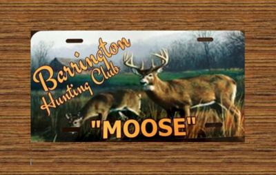 Fall Scene - Customized License Plate