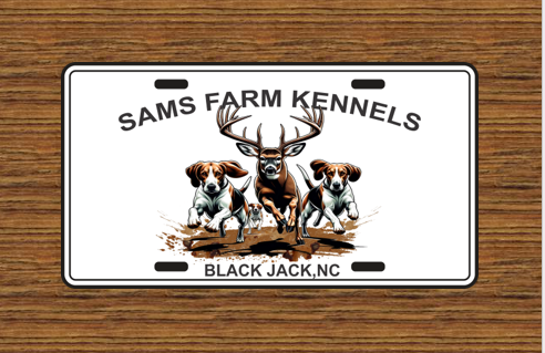 Running a Buck - Customized License Plate