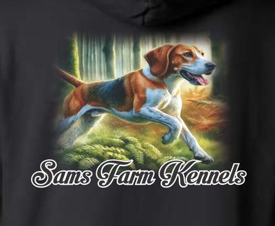 Chasing Daylight Hoodie Chasing Daylight Hoodie