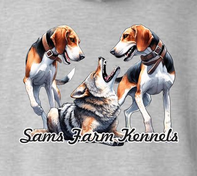 Surrounded Hoodie Surrounded Hoodie