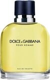 Dolce &amp; Gabbana Pour Homme - Eau de Toilette - 125ml - Herenparfum