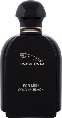 Jaguar Gold In Black - Eau de Toilette - 100ml - Herenparfum
