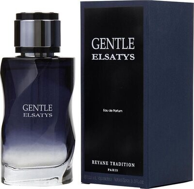 Reyane Tradition - Gentle Elsatys - Eau de Parfum - 100ml - Herenparfum