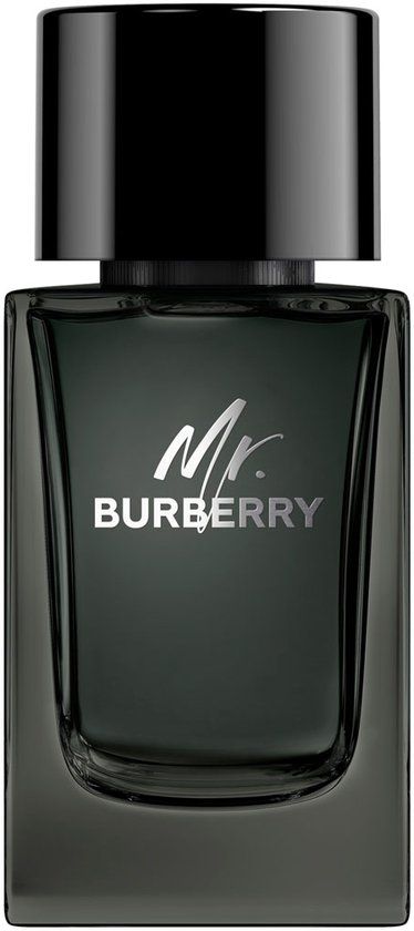 Burberry Mr. Burberry - Eau de Parfum - 100ml - Heren