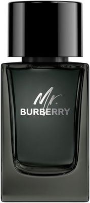 Burberry Mr. Burberry - Eau de Parfum - 100ml - Heren