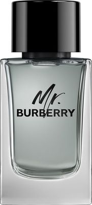 Burberry Mr. Burberry - Eau de Toilette - 150ml - Heren