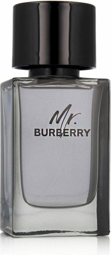 Burberry Mr. Burberry - Eau de Toilette - 100ml - Heren