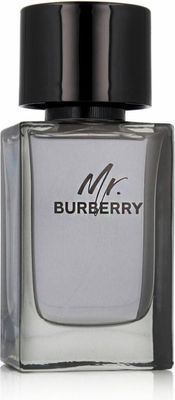 Burberry Mr. Burberry - Eau de Toilette - 100ml - Heren