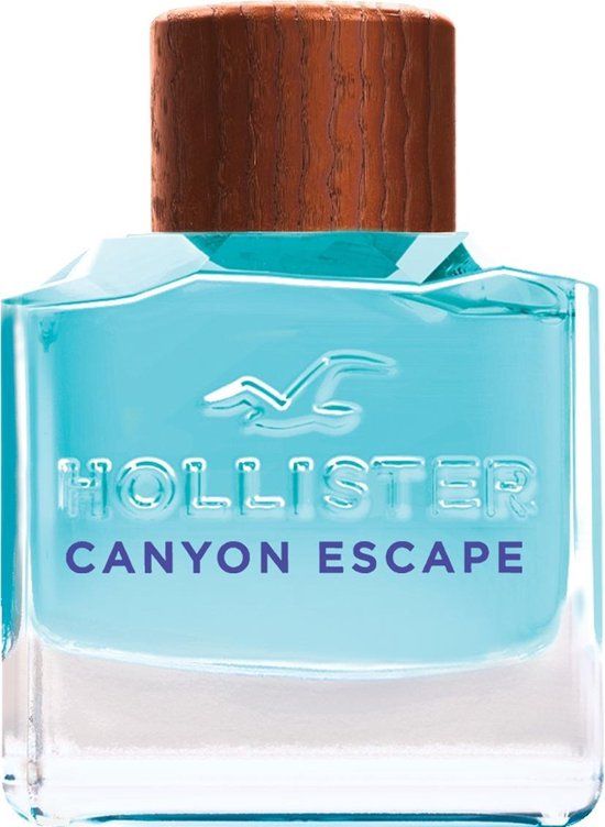 Hollister Canyon Escape - Eau de Toilette - 100ml - Heren