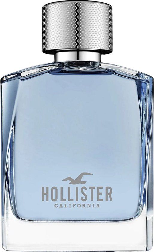 Hollister Wave for Him - Eau de Toilette - 100ml - Heren