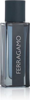 Salvatore Ferragamo Ferragamo Intense Leather - Eau de Parfum - 100ml - Heren