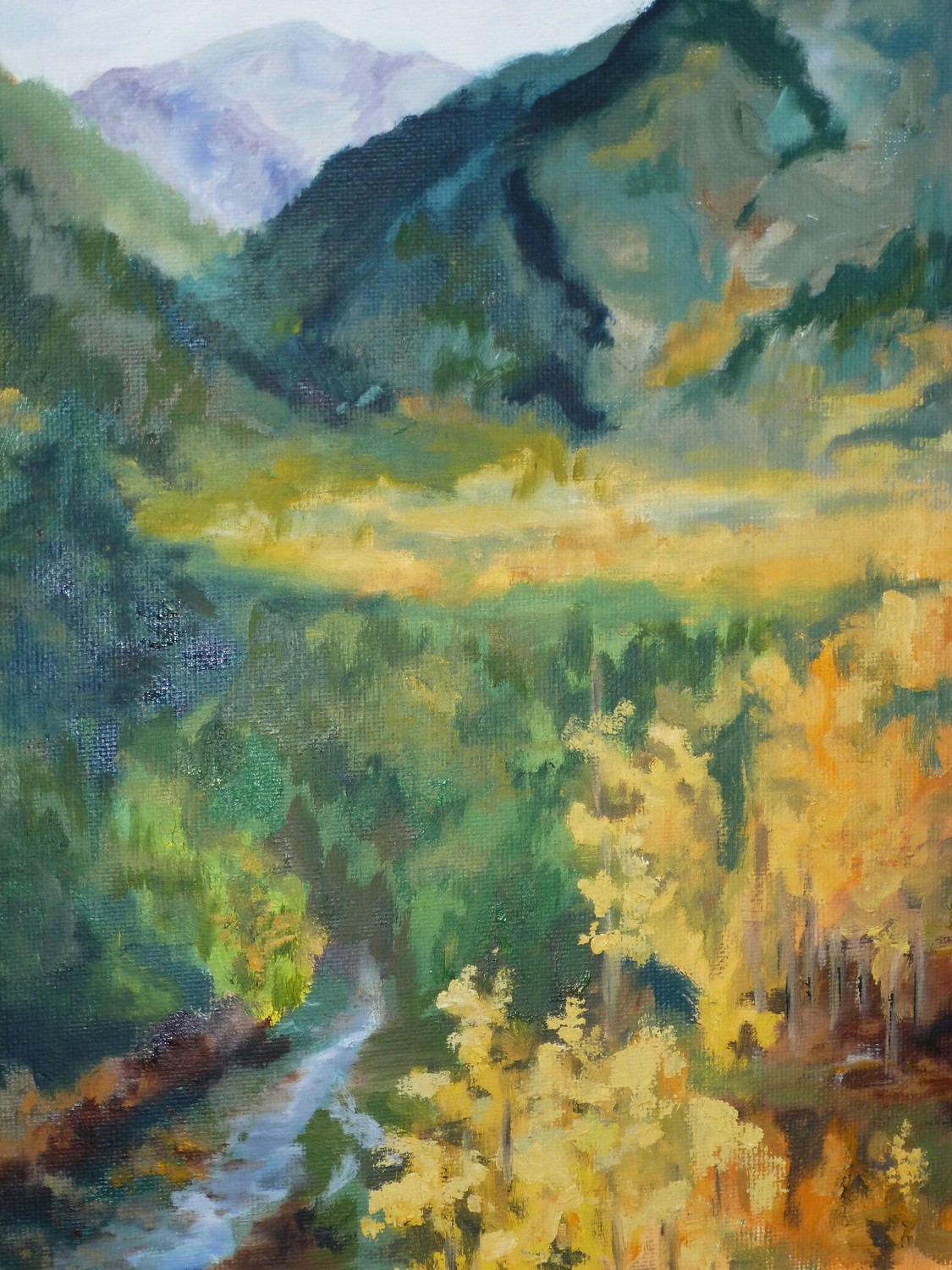 Colorado Color, Oil, 11x14