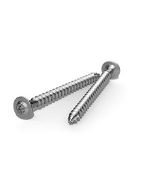 Tellerkopfschraube A2 6,0x120 / TX30