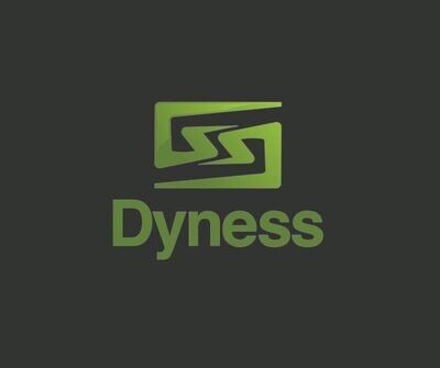 Dyness