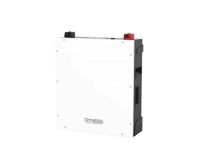 5,12KW Dyness 1C Lithium-Ion Battery 51,2V 100AH (BX51100)