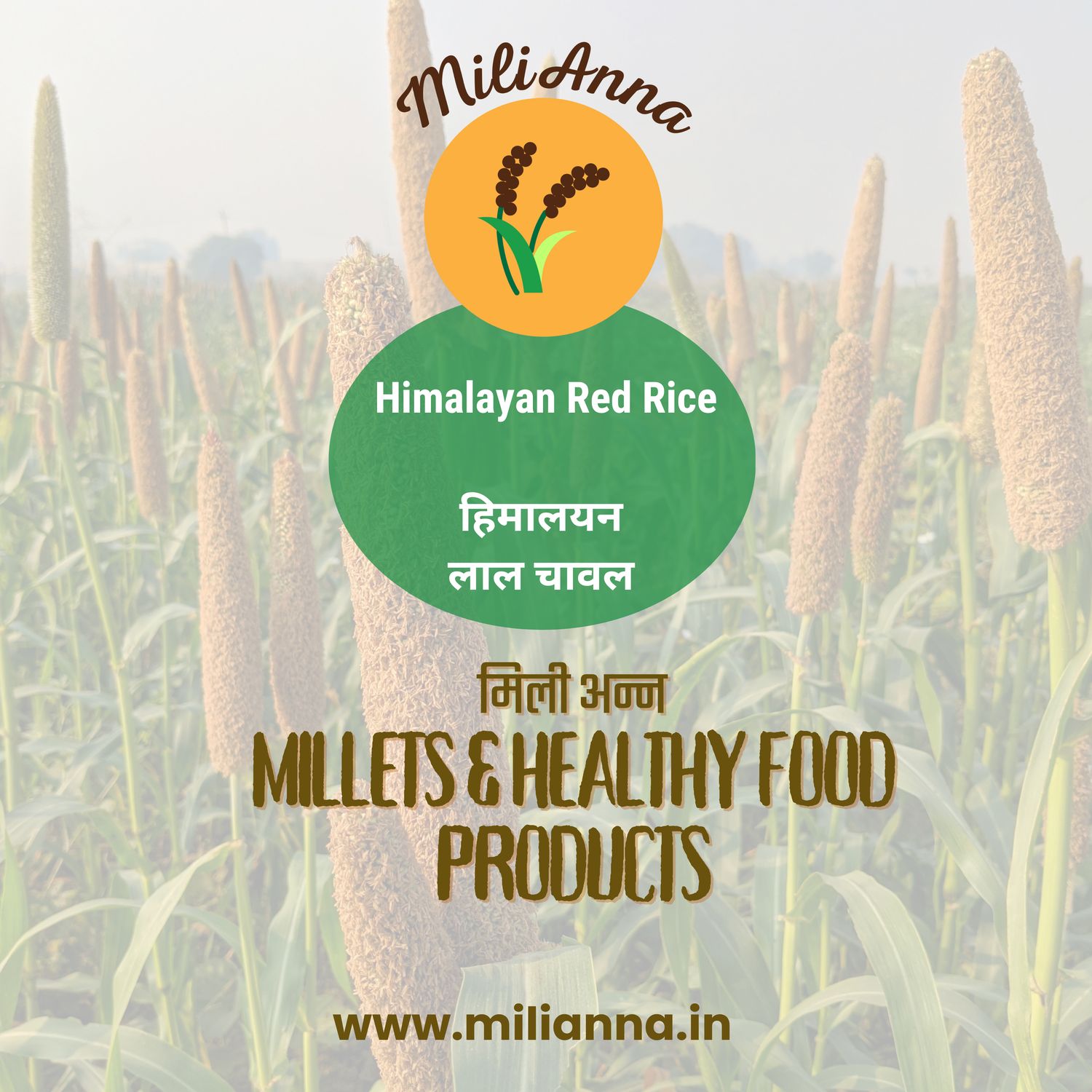 Himalayan Red Rice