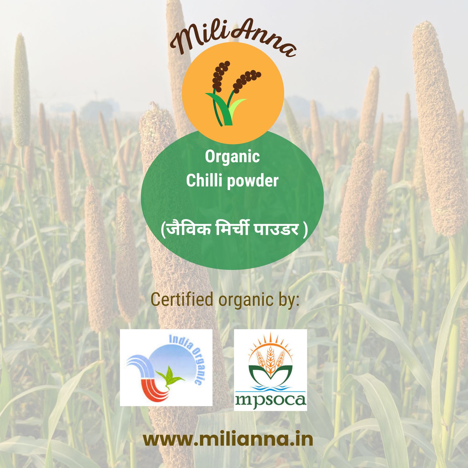 Organic Mirchi Powder