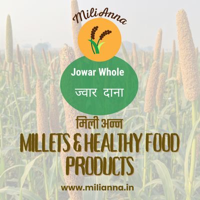 Jowar - Millet whole grain