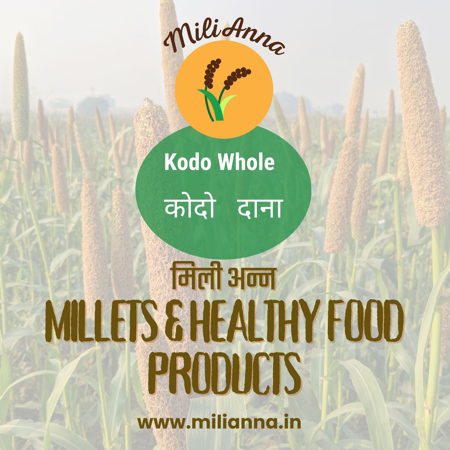 Kodo- Millet Whole Grain