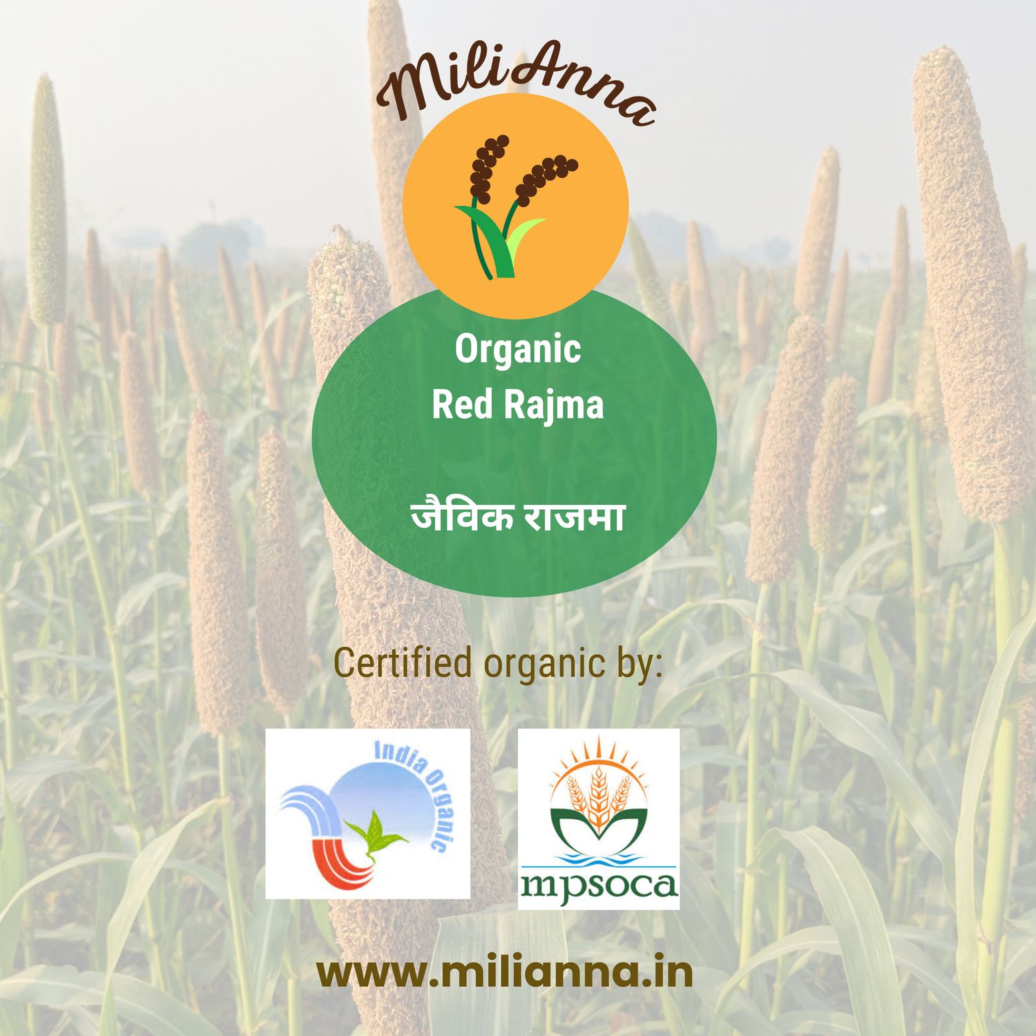 Organic Red Rajma