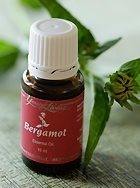 Bergamot