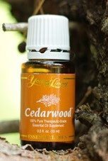Cedarwood
