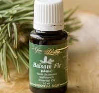 Balsam Fir