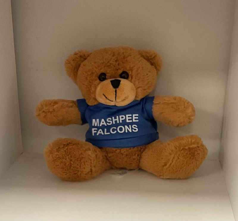 Mashpee Teddy Bear