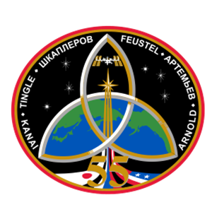 Expedition 55 Patch