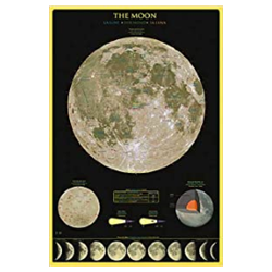 Moon Poster