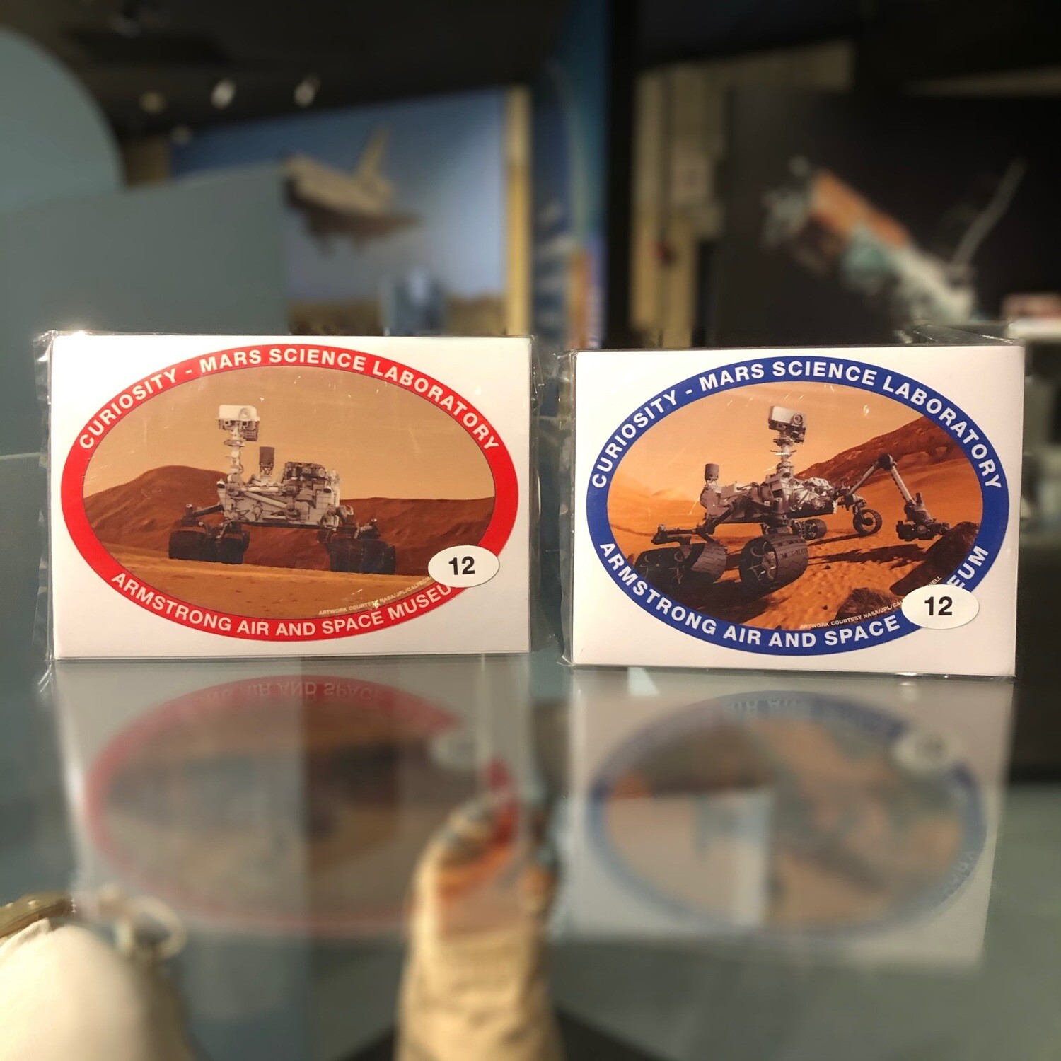 Curiosity Oval Sticker