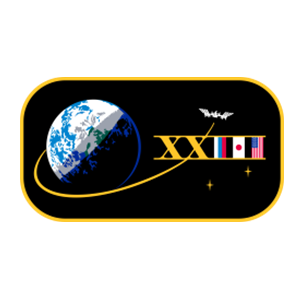 Expedition 23 Patch