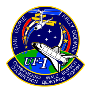 STS-108 Endeavour Patch
