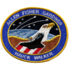 STS-51A Discovery Patch