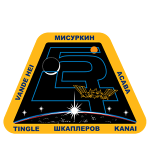 Expedition 54 Patch