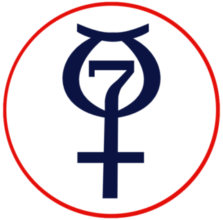 Mercury Program Pin