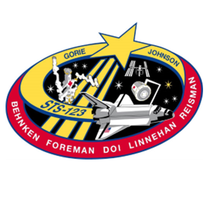 STS-123 Endeavour Patch