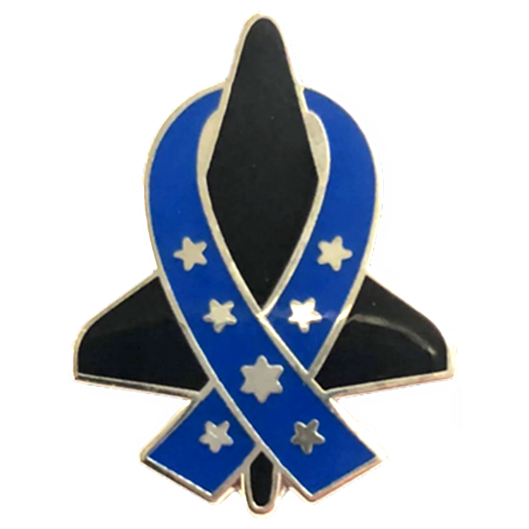 STS-107 Commemorative Pin