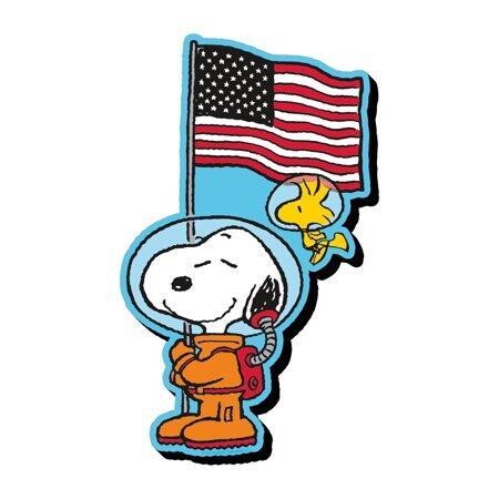 Peanuts Snoopy in Space Flag Funky Chunky Magnet