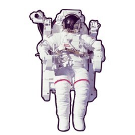 STS-41B Space Walk Astronaut Wall Art
