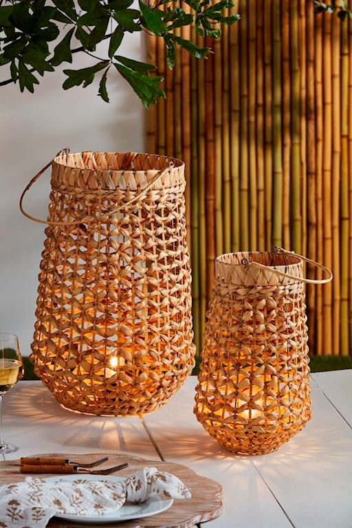 Hyacinth Light-up Lantern