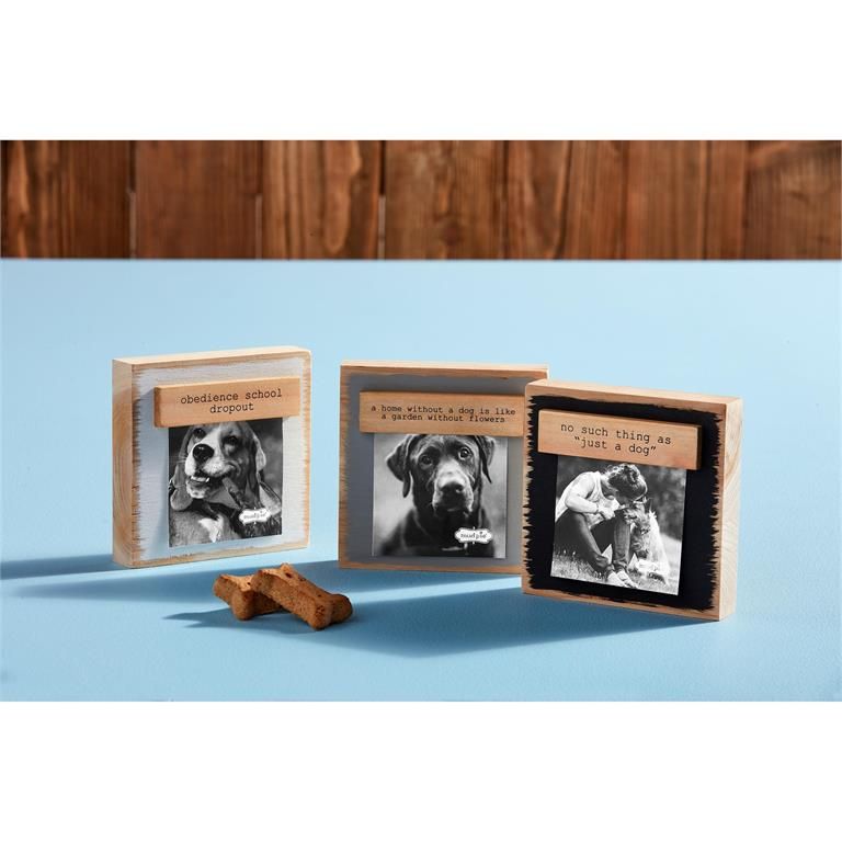 Pet Magnetic Block Frame