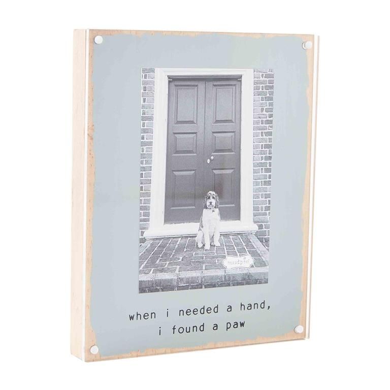 When Acrylic Dog Frame