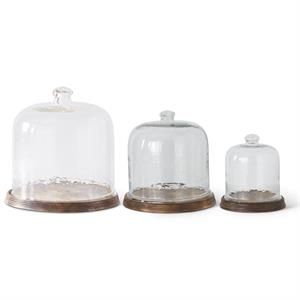 Wavy Glass Cloche With Wood Base