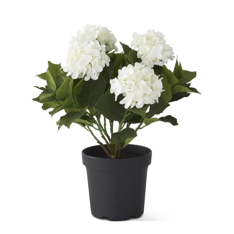 5 Bloom White Potted Hydrangea w/Faux Dirt