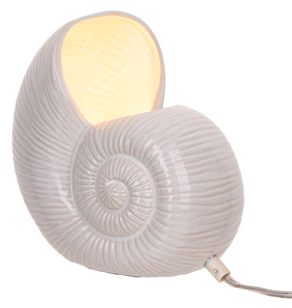 Glass Shell Accent Lamp