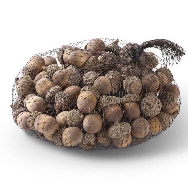 Bag Of Acorns