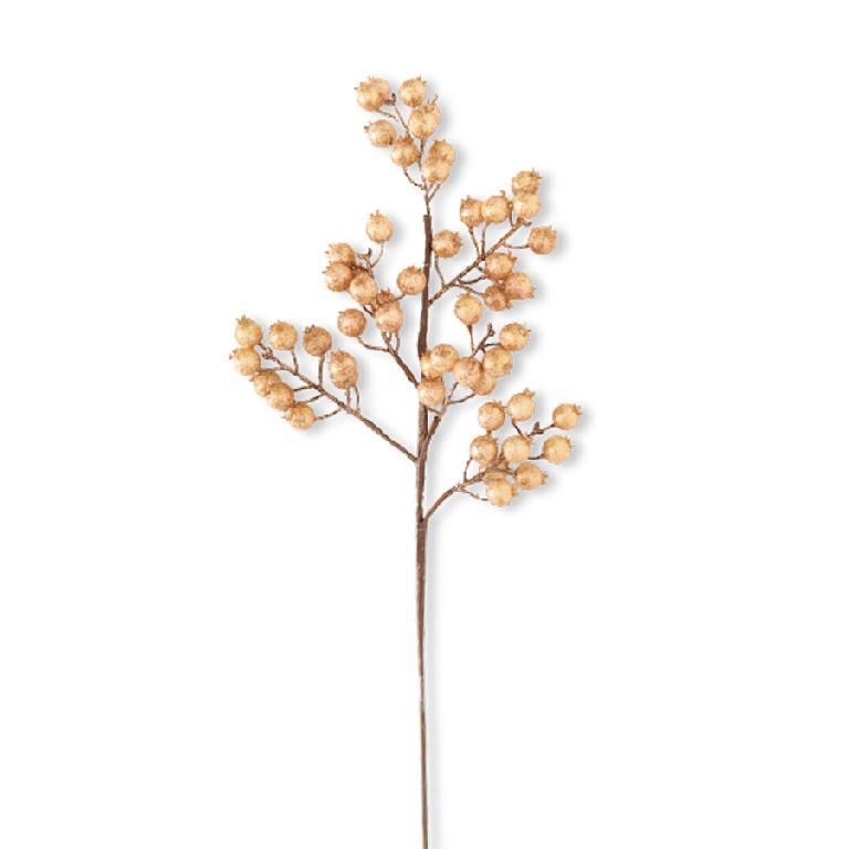 27 Inch Gold Crackle Rosehip Stem