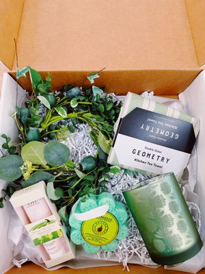 The Splendor Box