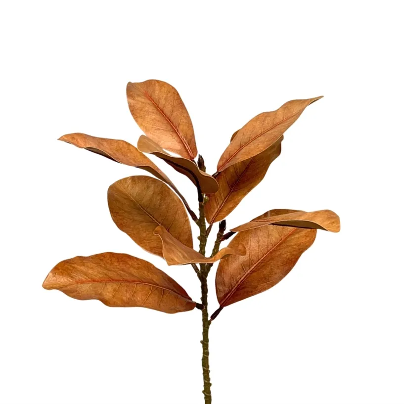 21.5 Inch Brown Magnolia Leaf Spray